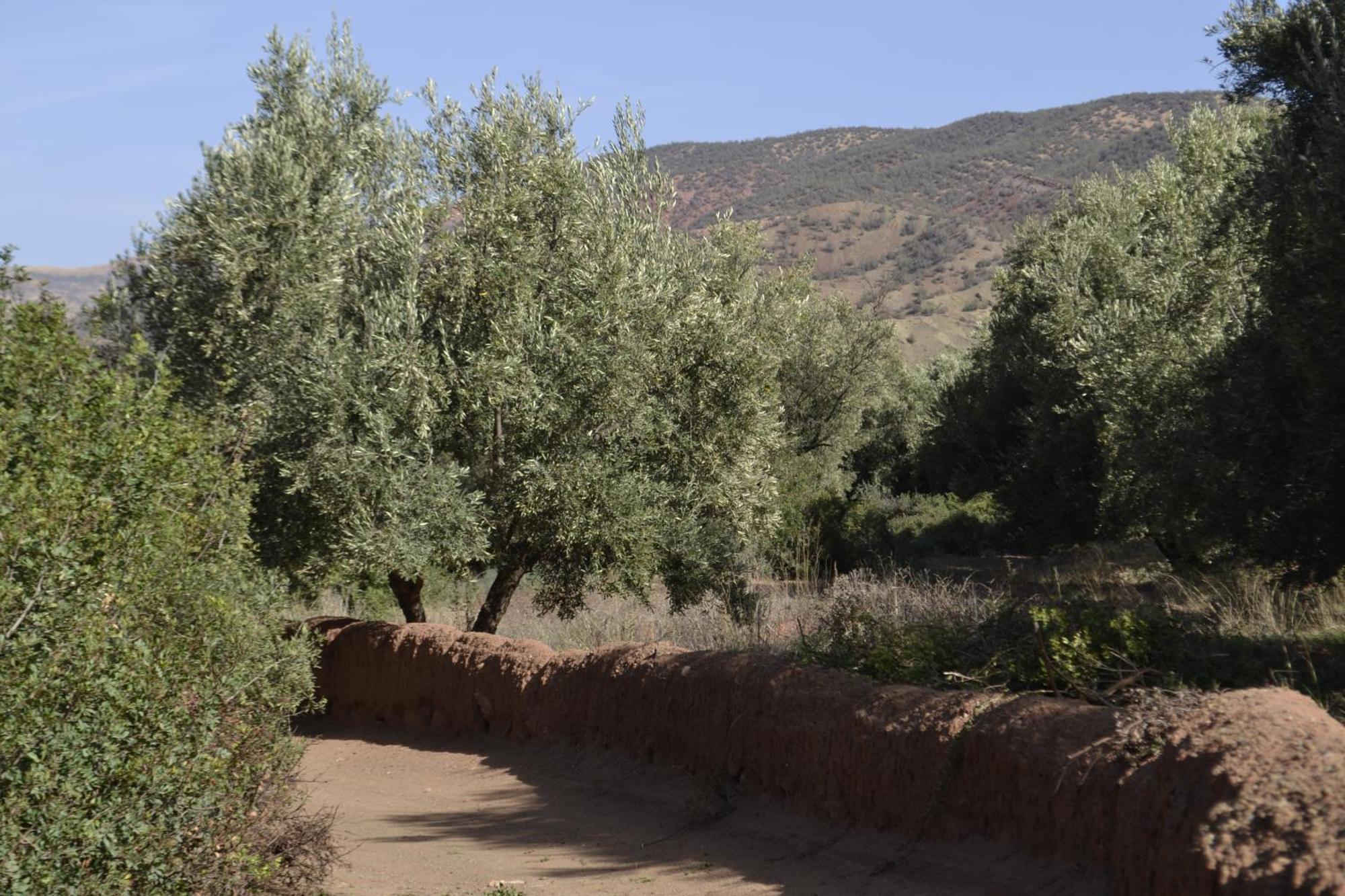 אואירגאנה Villa Quince מראה חיצוני תמונה